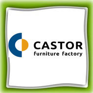 CASTOR